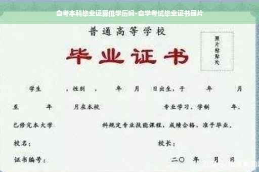 自考本科毕业证算低学历吗-自学考试毕业证书图片