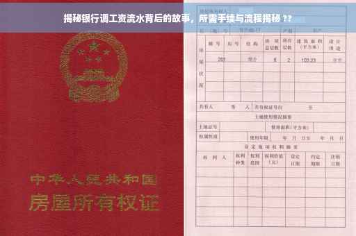 揭秘银行调工资流水背后的故事，所需手续与流程揭秘 ??