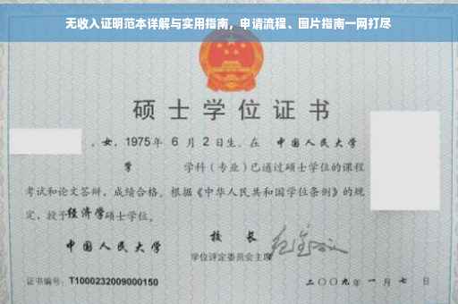 无收入证明范本详解与实用指南，申请流程、图片指南一网打尽