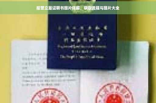 报警立案证明书图片详解，获取流程与图片大全