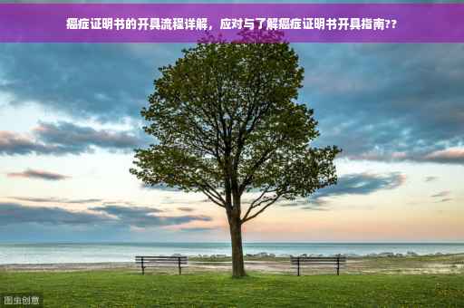 癌症证明书的开具流程详解，应对与了解癌症证明书开具指南??