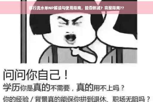银行流水单NP解读与使用指南，能否删减？完整指南??