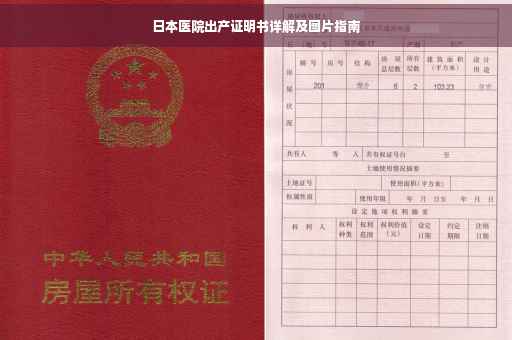 日本医院出产证明书详解及图片指南
