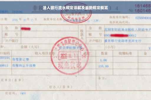 法人银行流水规定详解及最新规定概览