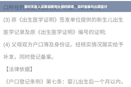 面对无收入证明却拥有社保的困境，应对策略与出路探讨