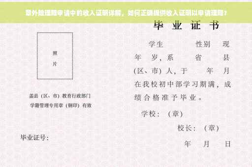 意外险理赔申请中的收入证明详解，如何正确提供收入证明以申请理赔？