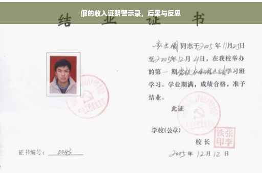 假的收入证明警示录，后果与反思