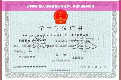 农村房产移交证明书的撰写详解，步骤与要点指导