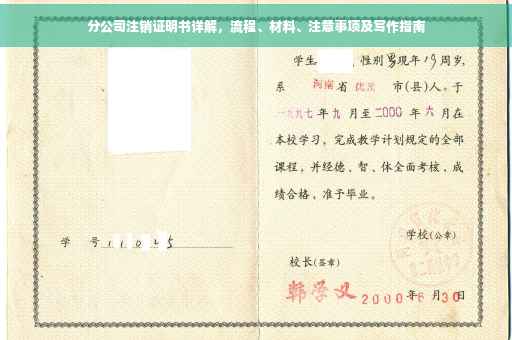 分公司注销证明书详解，流程、材料、注意事项及写作指南