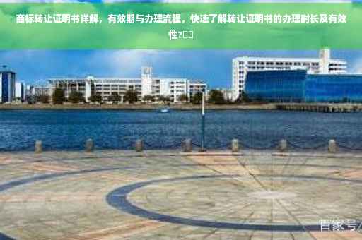 商标转让证明书详解，有效期与办理流程，快速了解转让证明书的办理时长及有效性?⚡️