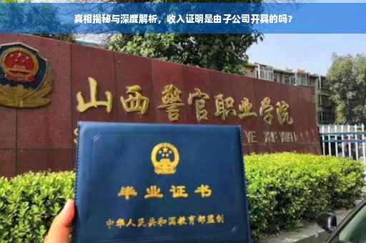 真相揭秘与深度解析，收入证明是由子公司开具的吗？