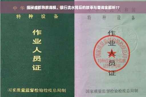揭秘成都购房真相，银行流水背后的故事与查询全解析??