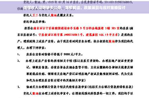 低保收入证明缺失公章，真相解读、政策漏洞与应对策略探讨