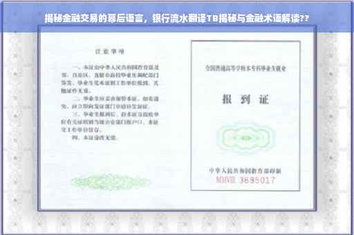 揭秘金融交易的幕后语言，银行流水翻译TB揭秘与金融术语解读??