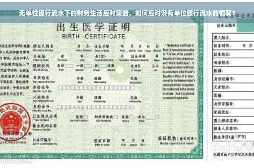 无单位银行流水下的财务生活应对策略，如何应对没有单位银行流水的情况？
