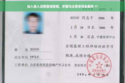 法人收入证明查询指南，步骤与注意事项全解析 ??