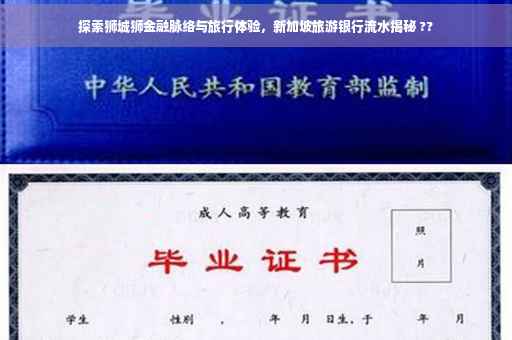 探索狮城狮金融脉络与旅行体验，新加坡旅游银行流水揭秘 ??