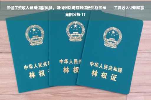 警惕工资收入证明造假风险，如何识别与应对违法犯罪警示——工资收入证明造假案例分析 ??