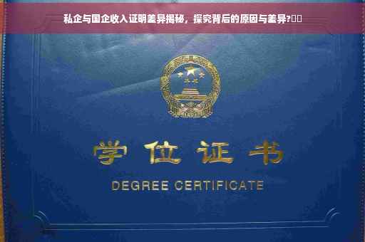私企与国企收入证明差异揭秘，探究背后的原因与差异?⚡️
