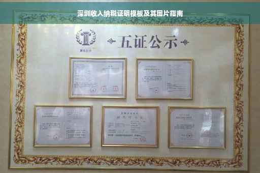 深圳收入纳税证明模板及其图片指南