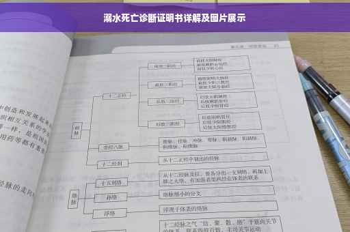 溺水死亡诊断证明书详解及图片展示