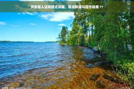 贷款收入证明模式详解，图文教程与操作指南 ??