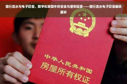 银行流水与电子印章，数字化转型中的安全与便利探索——银行流水电子印章编码解析