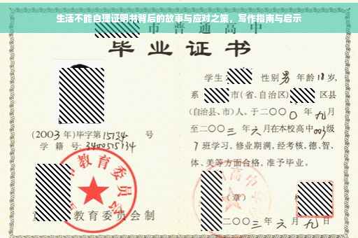 生活不能自理证明书背后的故事与应对之策，写作指南与启示