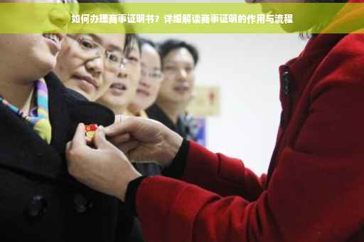如何办理商事证明书？详细解读商事证明的作用与流程