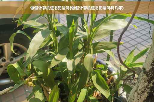 做假计算机证书犯法吗(做假计算机证书犯法吗判几年)