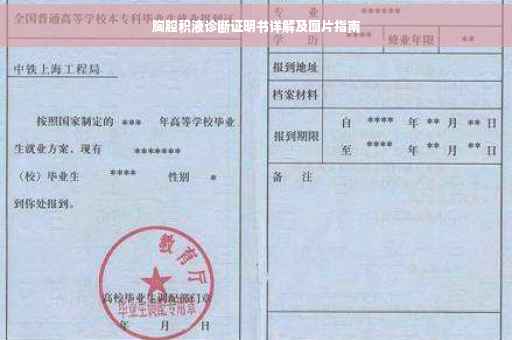 胸腔积液诊断证明书详解及图片指南