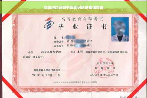 货物进口证明书真伪识别与查询指南