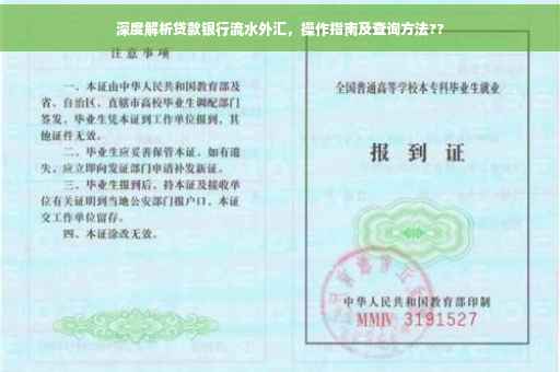 深度解析贷款银行流水外汇，操作指南及查询方法??