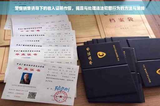 警惕销售诱导下的收入证明作假，揭露与处理违法犯罪行为的方法与策略