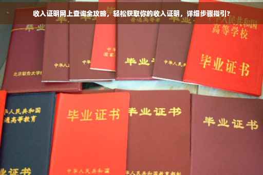 收入证明网上查询全攻略，轻松获取你的收入证明，详细步骤指引?