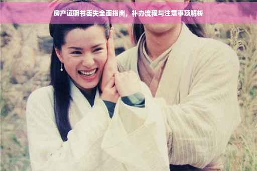 房产证明书丢失全面指南，补办流程与注意事项解析