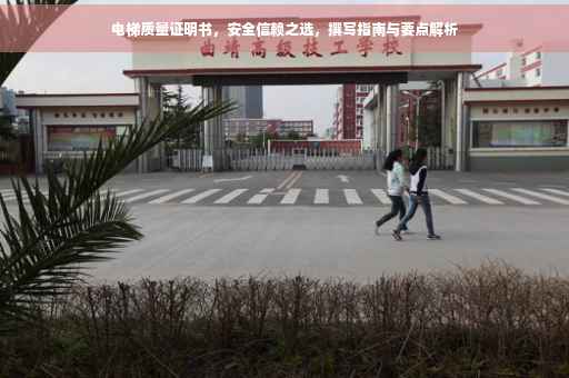 电梯质量证明书，安全信赖之选，撰写指南与要点解析
