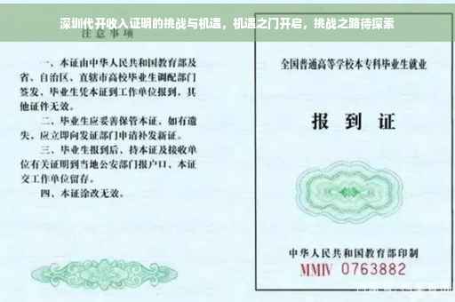 深圳代开收入证明的挑战与机遇，机遇之门开启，挑战之路待探索