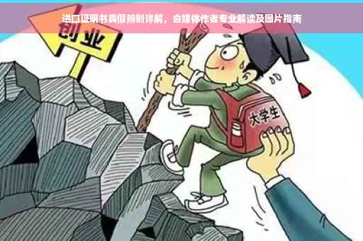 进口证明书真假辨别详解，自媒体作者专业解读及图片指南