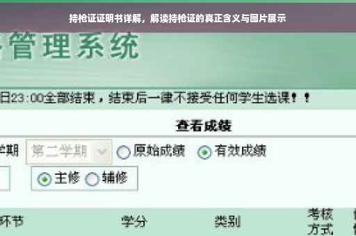 持枪证证明书详解，解读持枪证的真正含义与图片展示