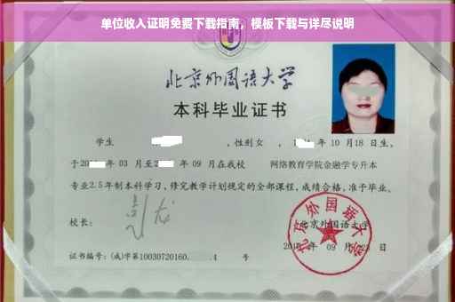 单位收入证明免费下载指南，模板下载与详尽说明