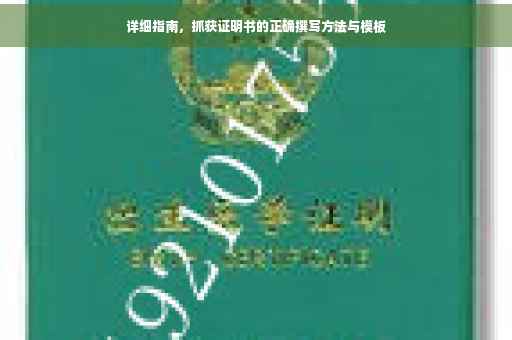 详细指南，抓获证明书的正确撰写方法与模板