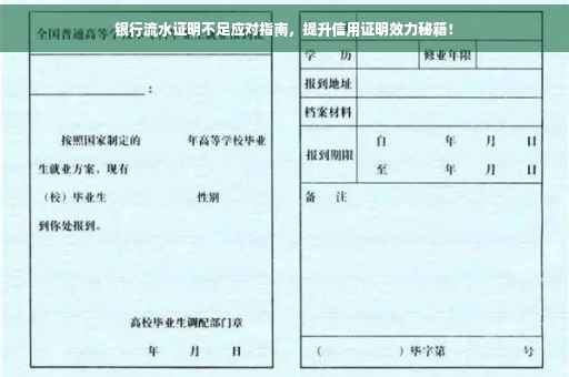 银行流水证明不足应对指南，提升信用证明效力秘籍！