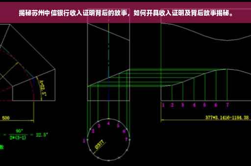揭秘苏州中信银行收入证明背后的故事，如何开具收入证明及背后故事揭秘。