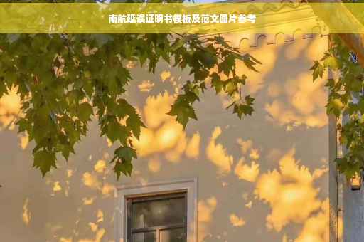 南航延误证明书模板及范文图片参考