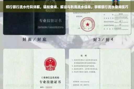 招行银行流水代码详解，轻松查询、解读与利用流水信息，掌握银行流水查询技巧