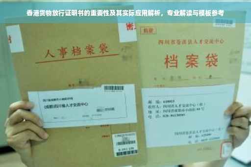 香港货物放行证明书的重要性及其实际应用解析，专业解读与模板参考