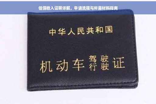 低保收入证明详解，申请流程与所需材料指南