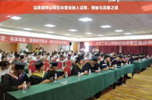 深度解析公司历年营业收入证明，模板与洞察之道