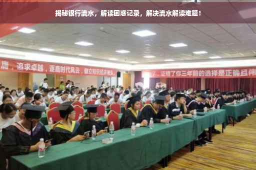 揭秘银行流水，解读困惑记录，解决流水解读难题！